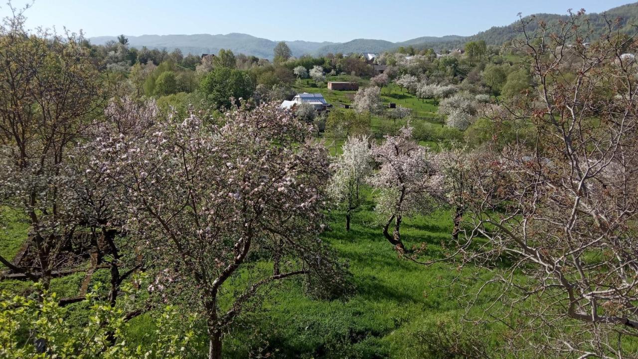Bat'Kivska Hata Stari Kuty Εξωτερικό φωτογραφία