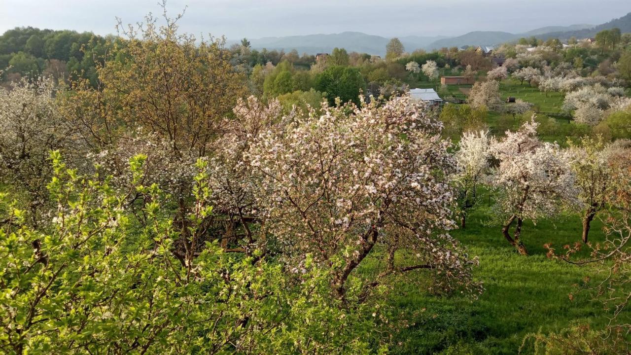 Bat'Kivska Hata Stari Kuty Εξωτερικό φωτογραφία